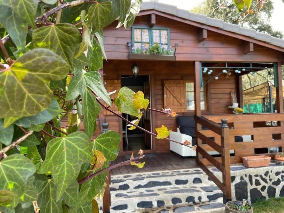 Desconexion Y Paz, Cabana En La Sierra Albalate De Zorita ภายนอก รูปภาพ