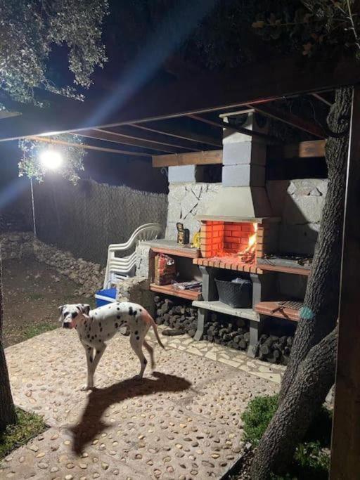 Desconexion Y Paz, Cabana En La Sierra Albalate De Zorita ภายนอก รูปภาพ